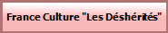 France Culture "Les Dshrits"